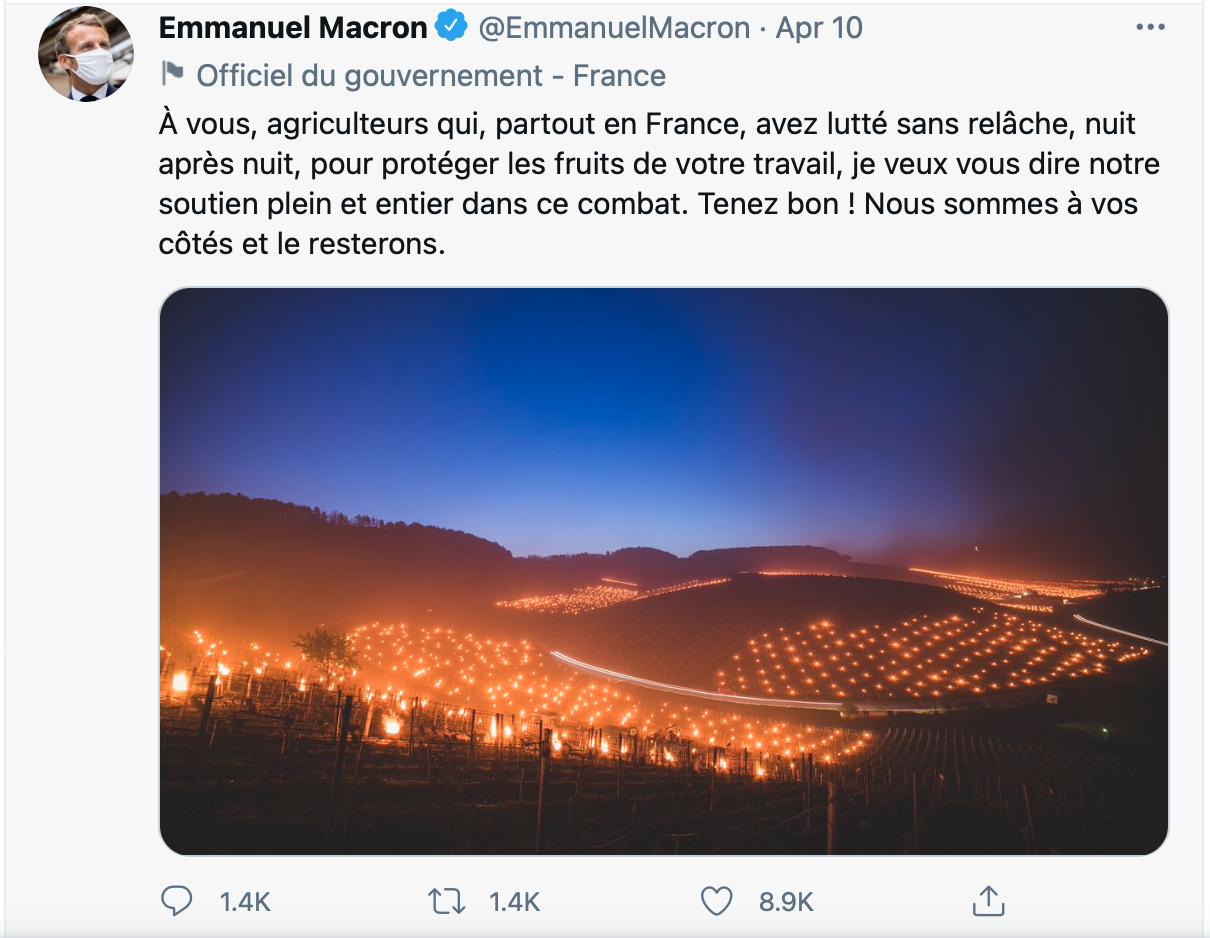 &Icirc;nghețul a afectat 80% din principalele podgorii din Franța.